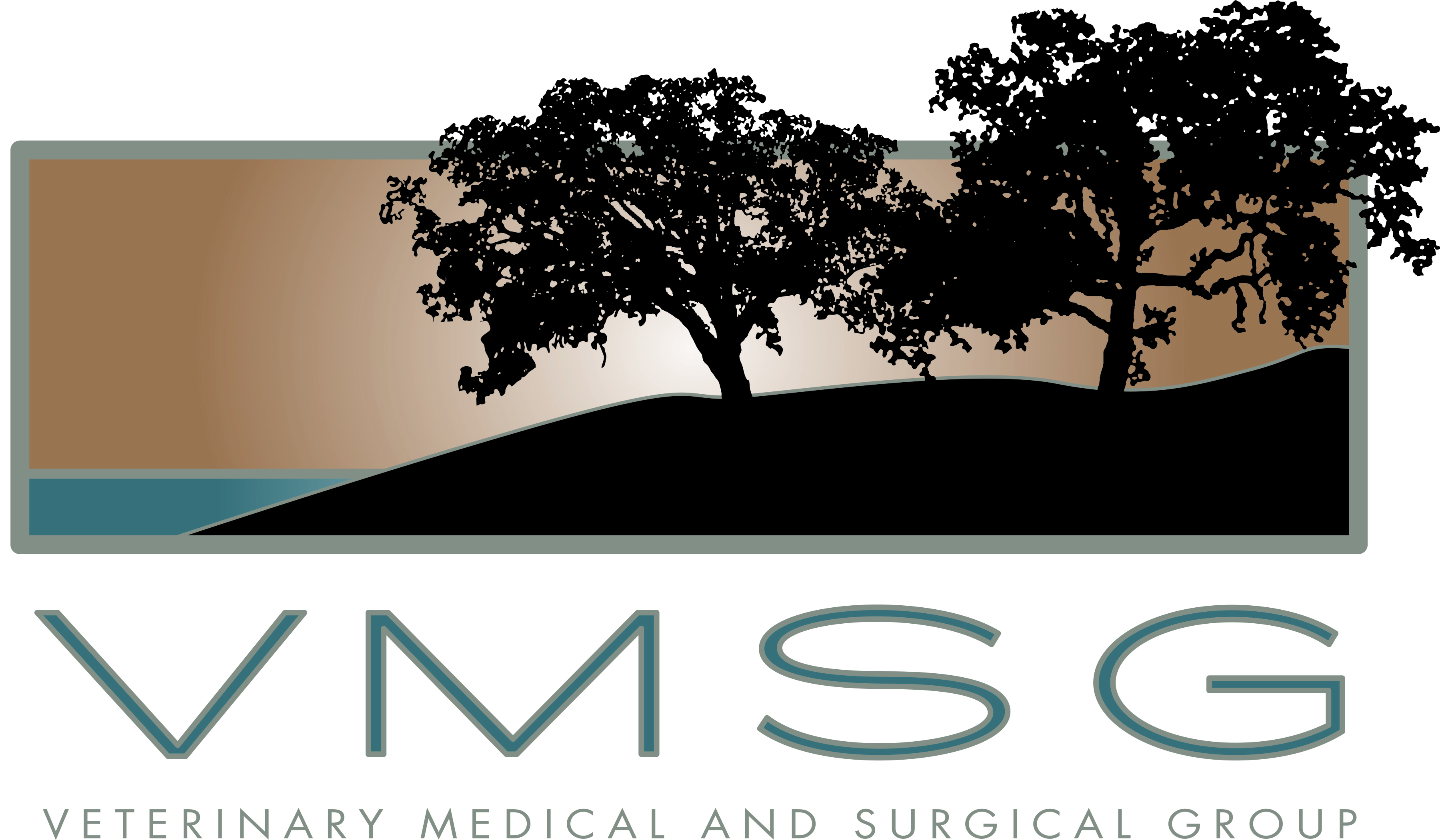 VSMG_Logo